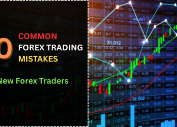 Common Mistakes of New Forex Traders