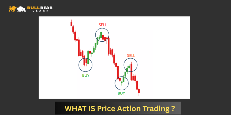 What Is Price Action Trading? A Beginner’s Guide to Reading the Market