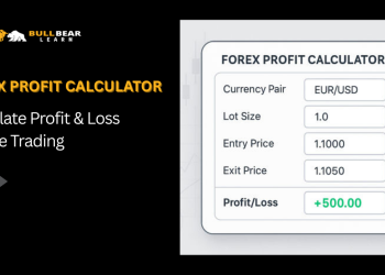 Forex Profit Calculator