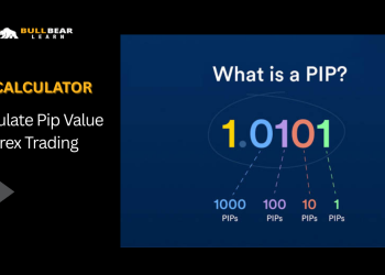 pip calculator forex