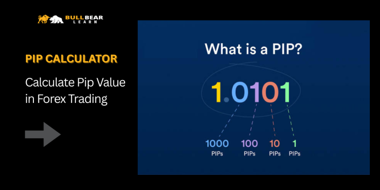 pip calculator forex