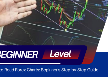 How to Read Forex Charts