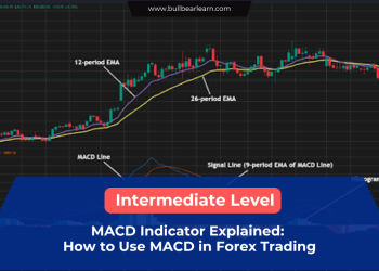 MACD indicator forex