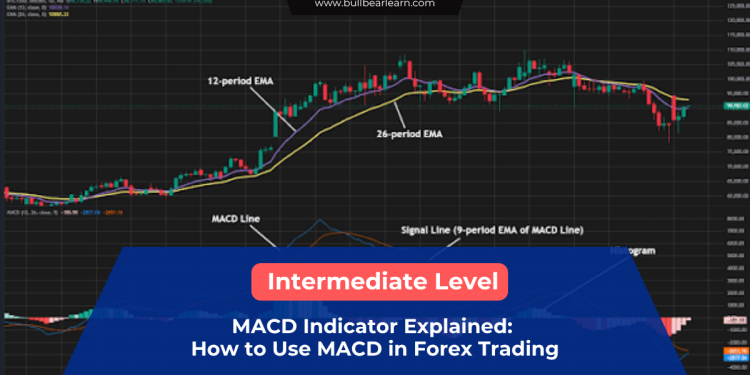 MACD indicator forex