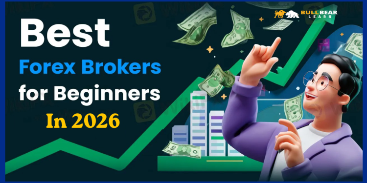 best forex brokers for beginners