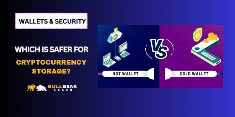 hot wallet vs cold wallet