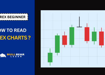 how to read forex charts