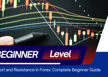 Support and Resistance in Forex: Complete Beginner Guide
